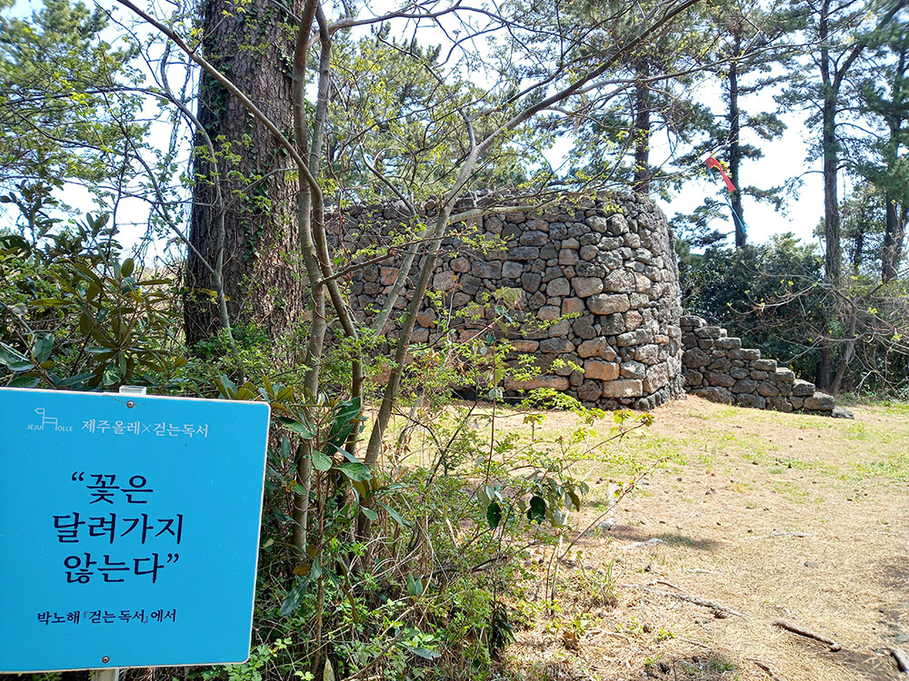 걷는독서 박노해