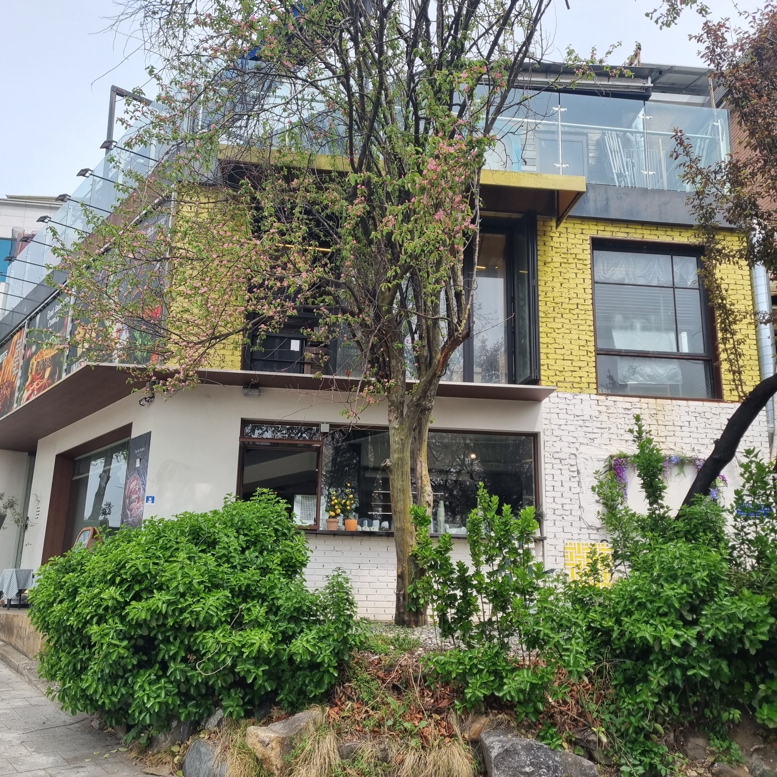 이태원 샌드위치 맛집 오 띠젤리 관련사진