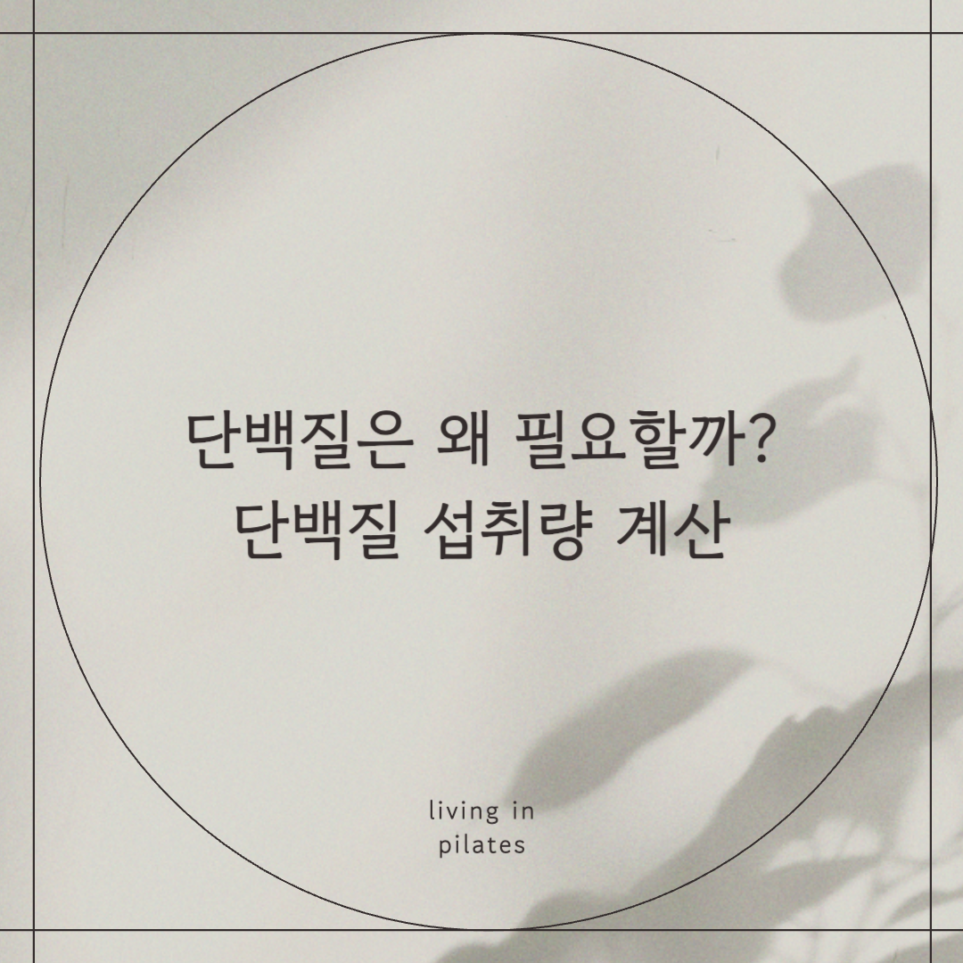 단백질은 왜 필요할까?