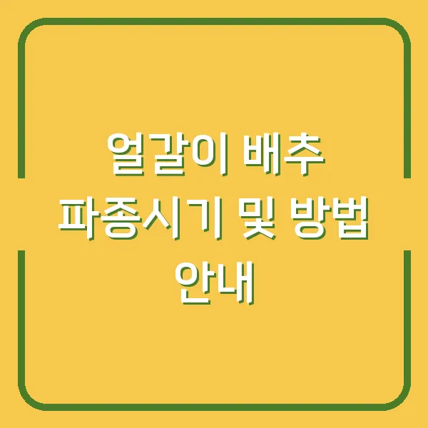 얼갈이 배추 파종시기 및 방법 안내