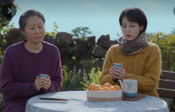 폭싹속았수다