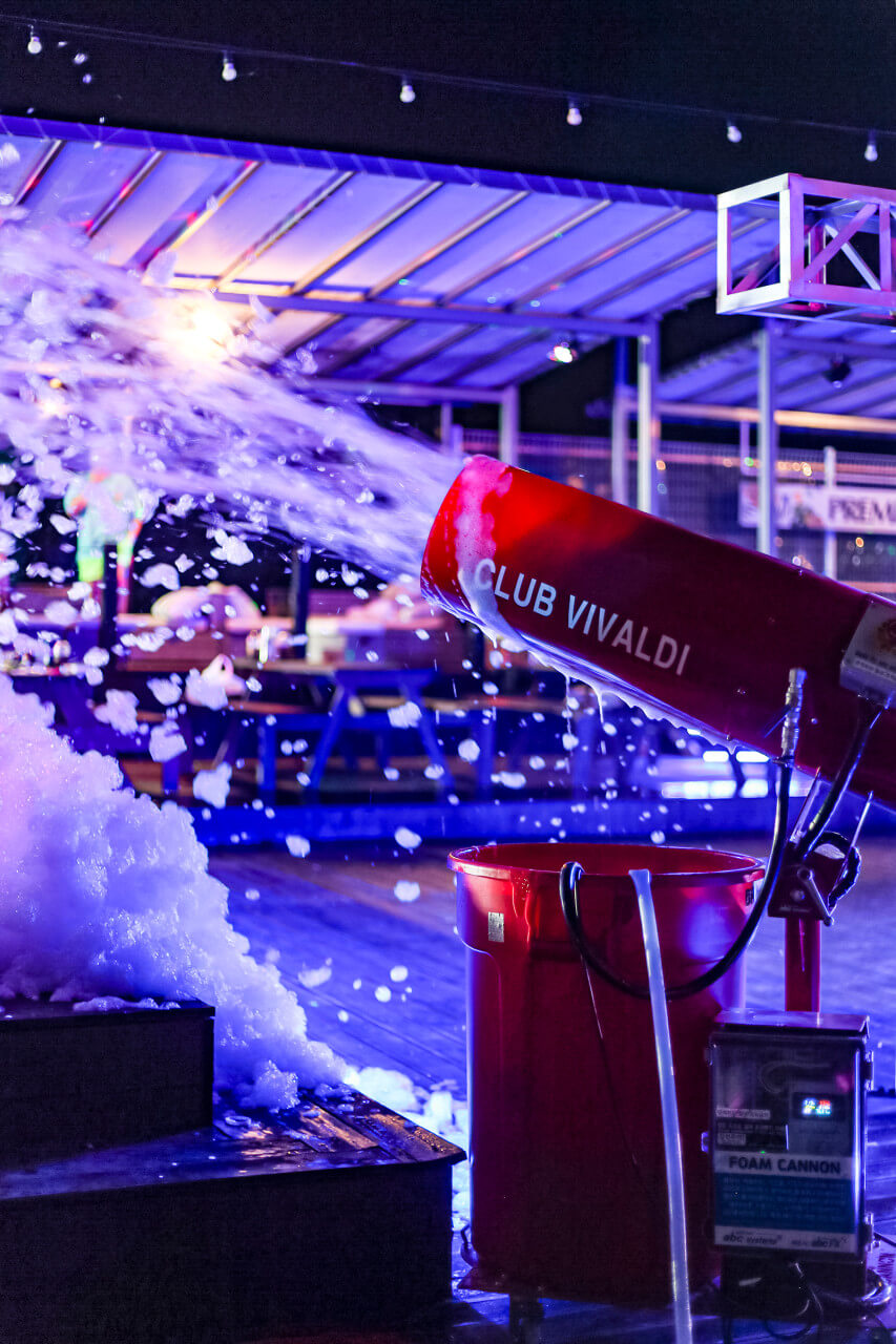 생생정보 장PD의 AI 여행기 AI 추천! 연인이 가기 좋은 가평 여행 코스 자라섬꽃페스타, 자라섬 출렁다리, 브릿지짚라인, 클럽비발디(수상레저), 다믈촌 (잣두부전골 전문)