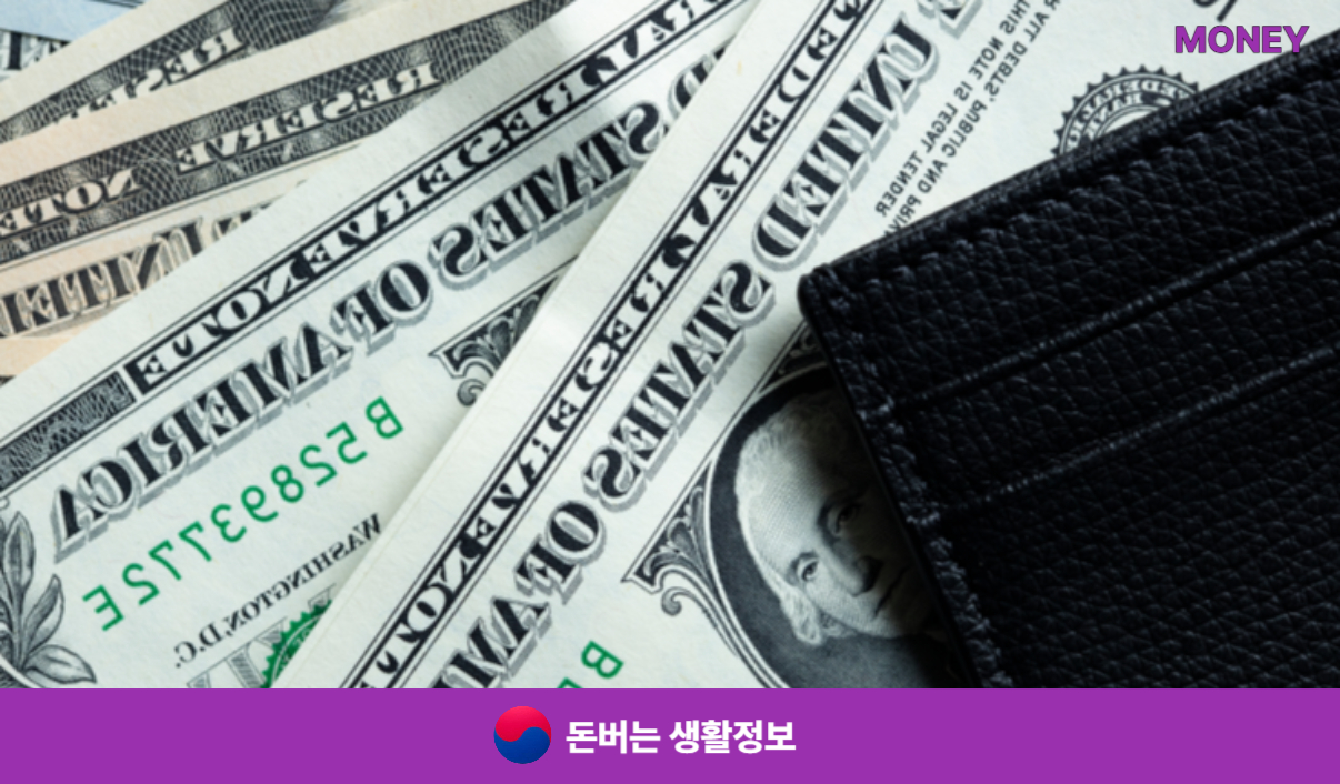 의료보험 피부양자 자격