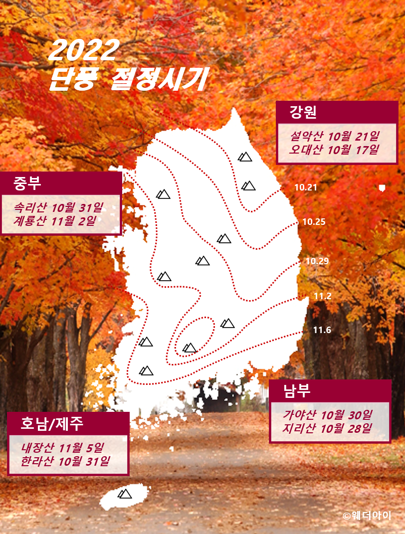 2022 단풍 절정시기