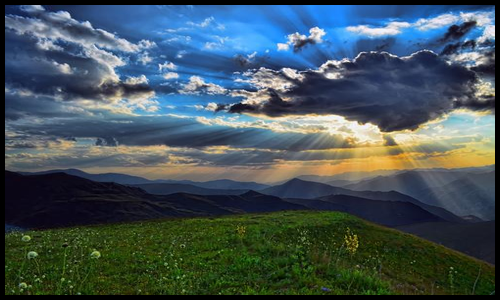 아르기닌 효능 알아보기13