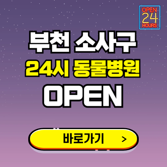 부천시 소사구 24시 동물병원 진료하는 곳 ❘ 설날 휴일 야간 심야 문여는곳 찾기 ❘ 응급진료