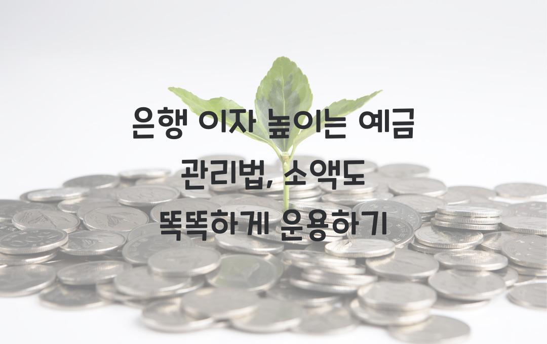 은행 이자 높이는 예금 관리법, 작은 돈도 현명하게 굴리기