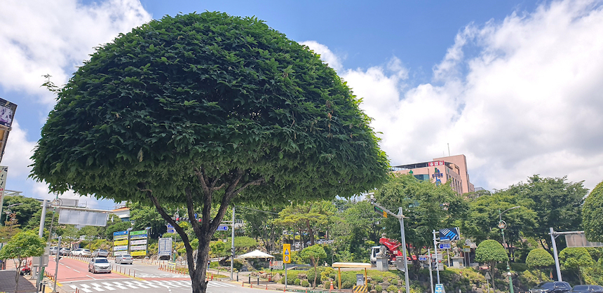 단양 여행의 명소