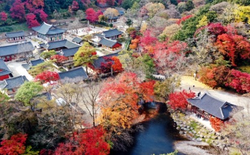 내장산-단풍축제-백양사