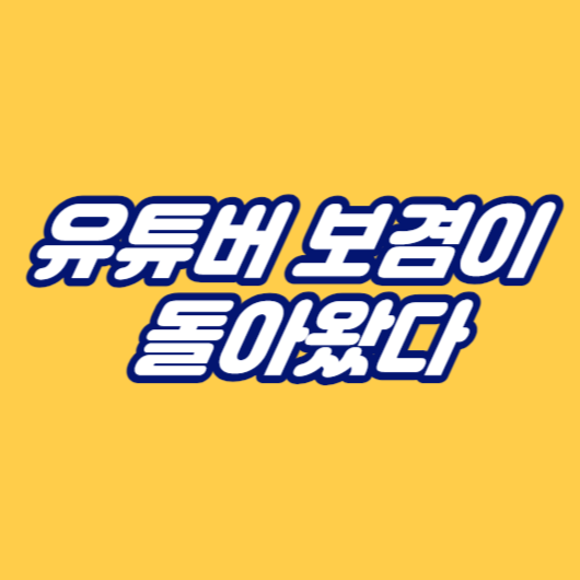 유튜버 보겸이 돌아왔다