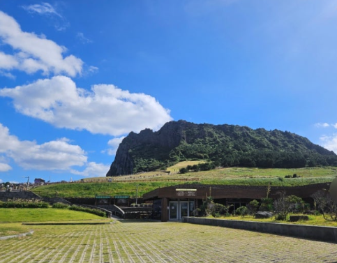 12월 겨울 제주 인생샷 명소 BEST 5