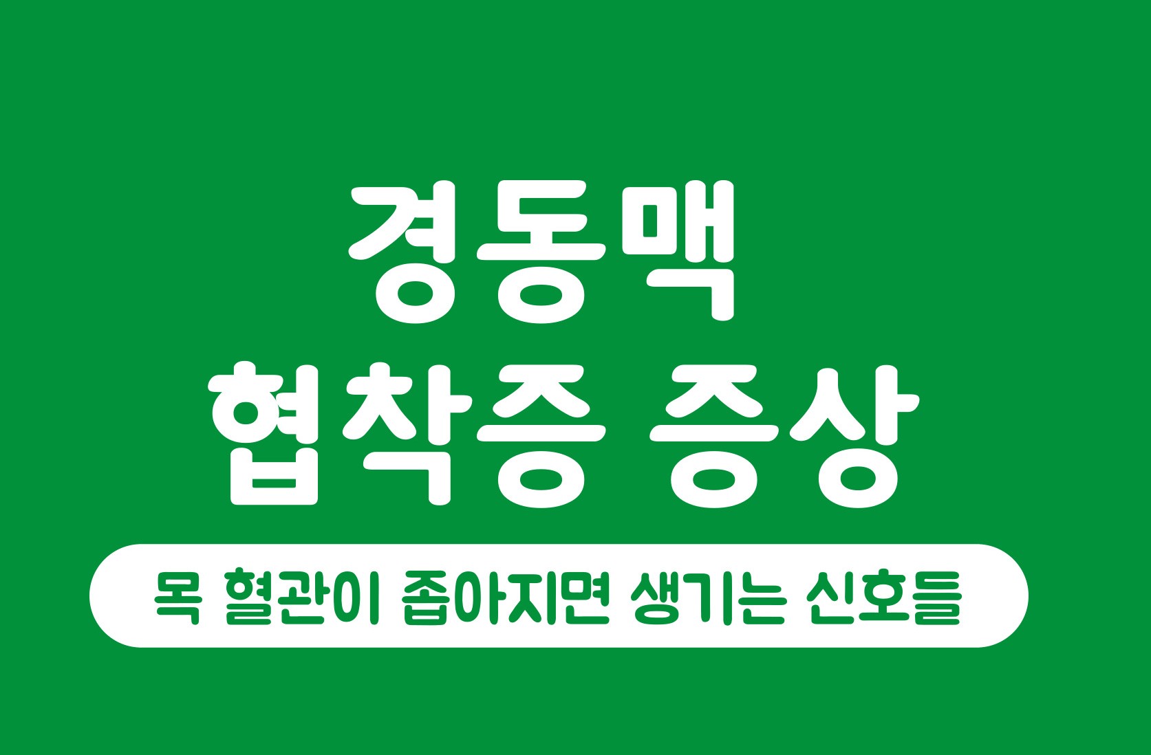 경동맥 협착증 증상 썸네일 이미지