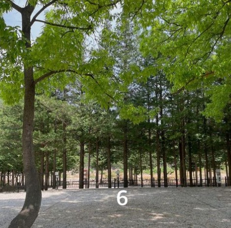 경호강_캠핑장_사이트_B6