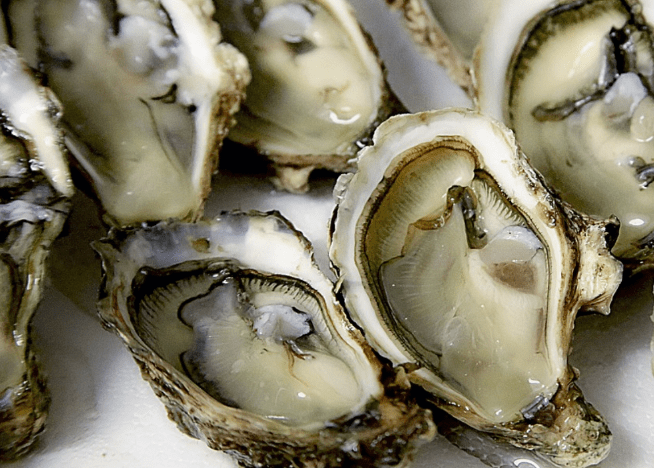 알토란 굴무침 황금레시피