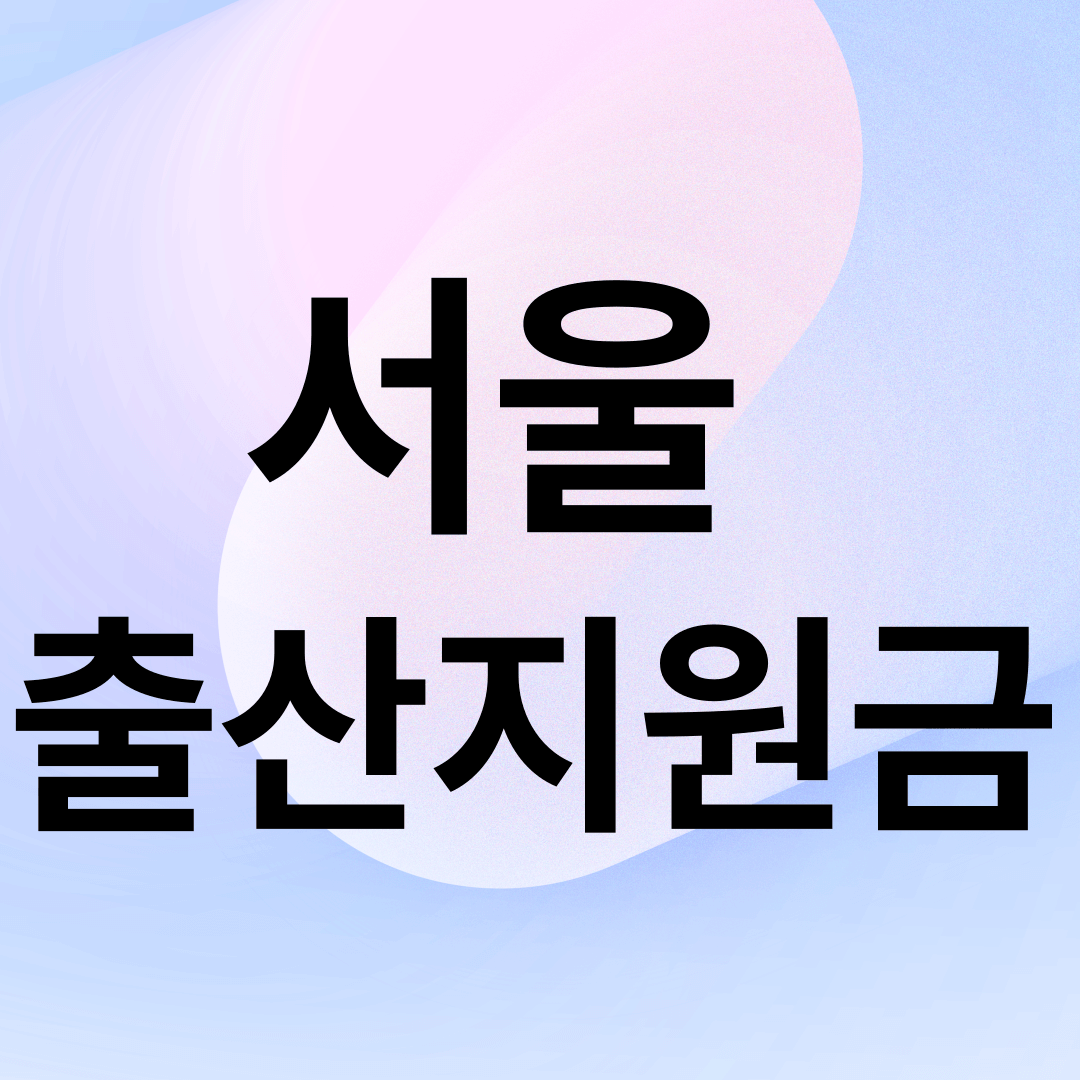 서울 출산지원금