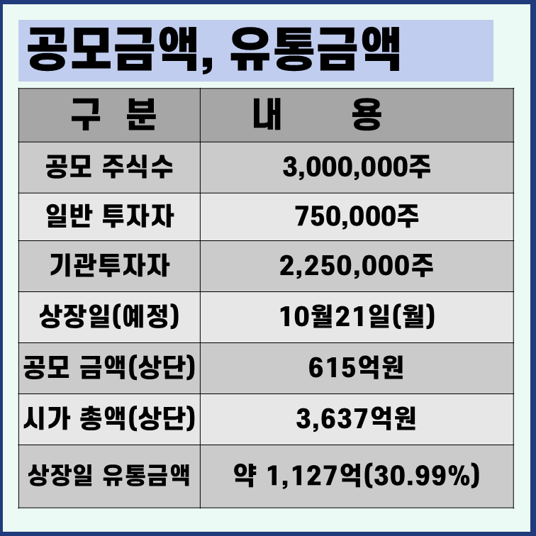 루미르-공모규모-유통물량
