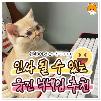 웃긴 닉네임 추천 재밌는 닉네임 웃긴 이름 모음_22