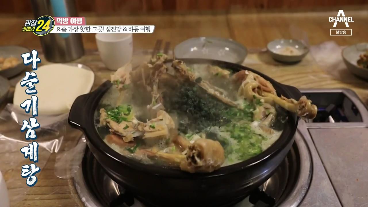 관찰카메라24 먹방여행 경남 하동 아시아 최장 짚라인 재첩 파스타 피자 맛집 전남 곡성 섬진강 다슬기 닭백숙