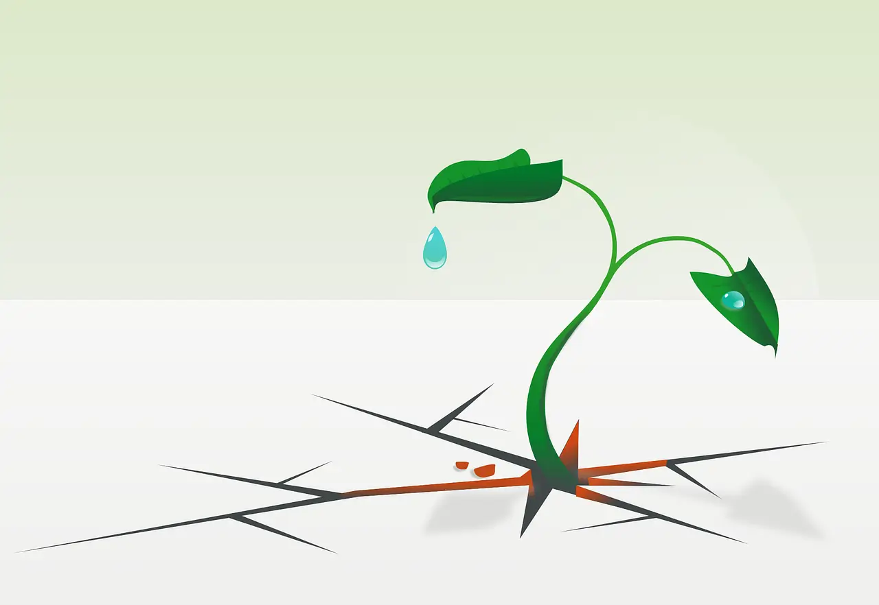 국민 저항권이란