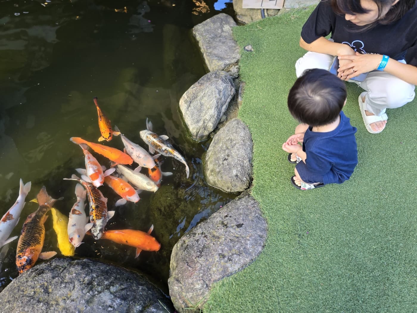 단청에 있는 잉어물고기를 구경하는 아이와 엄마