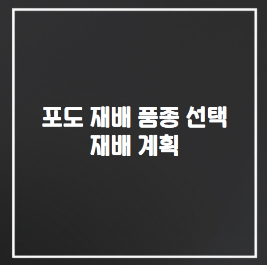 포도 재배 품종 선택