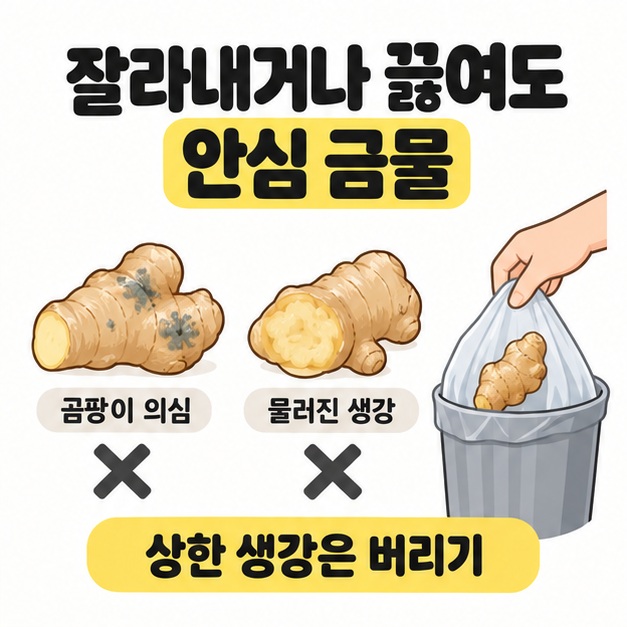 곰팡이 의심 생강과 물러진 생강에 X 표시를 붙이고 상한 생강을 봉투에 담아 버리는 장면