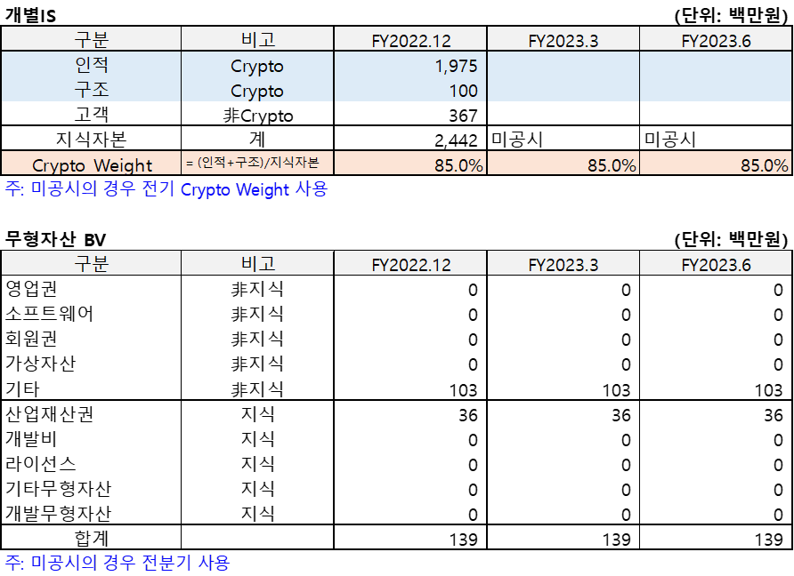 이멜벤처스(2023.3)의 개별IS 및 무형자산BV를 정리한 표