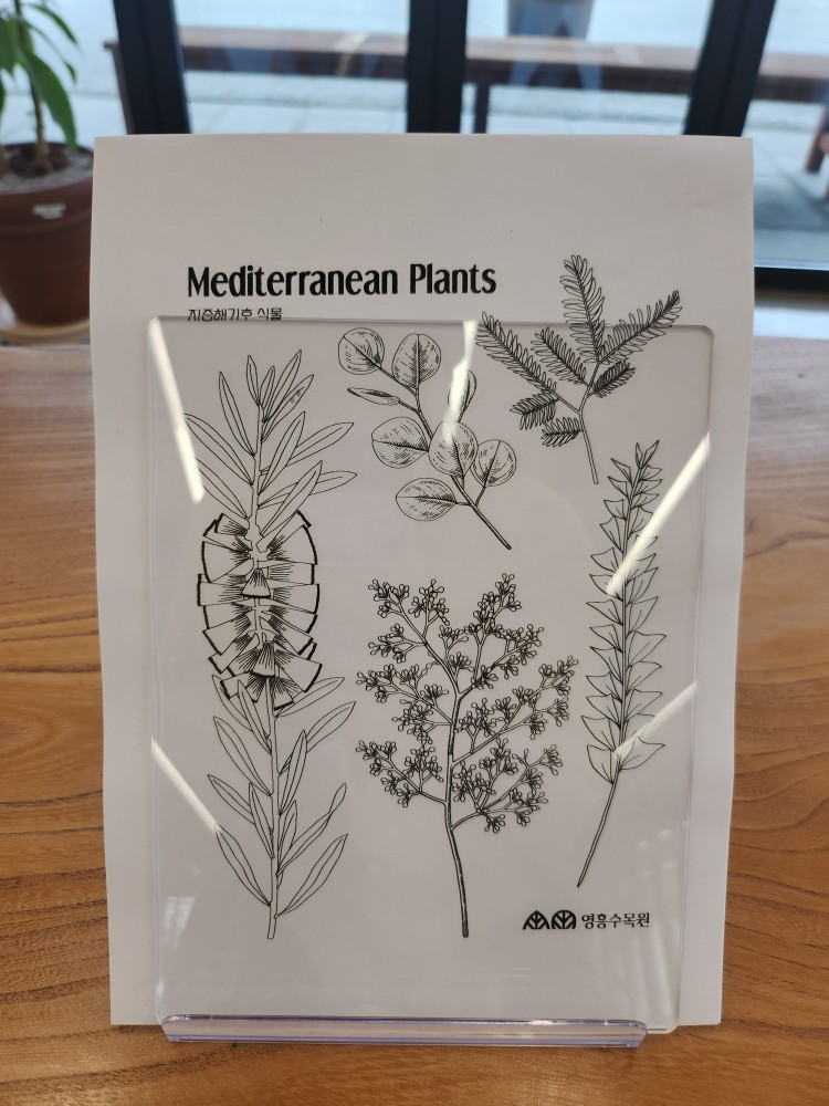 색칠 놀이 도안