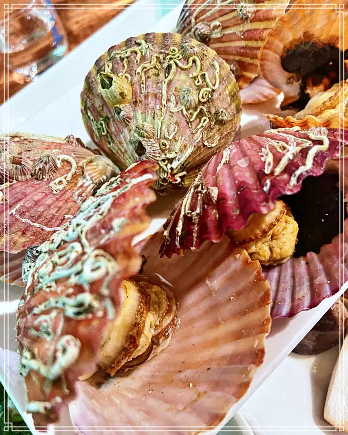 TBJ 생방송투데이 포항 구룡포시장 전국 택배 주문 백고둥구이 맛집