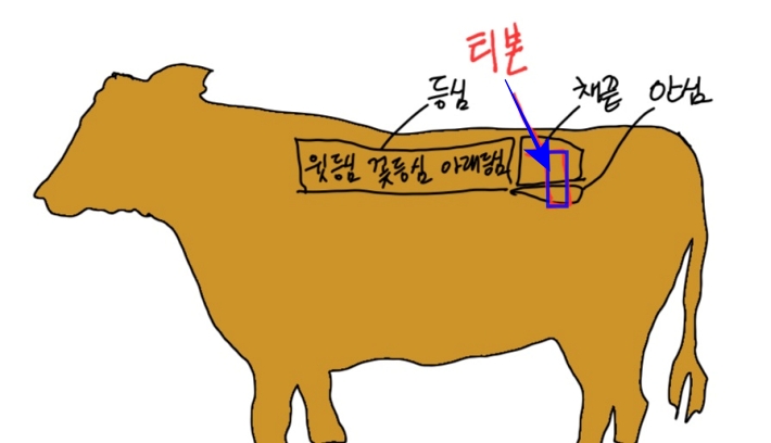 티본의 위치. 안심부위와 채끝을 함께 썰어낸 것이 티본이다.