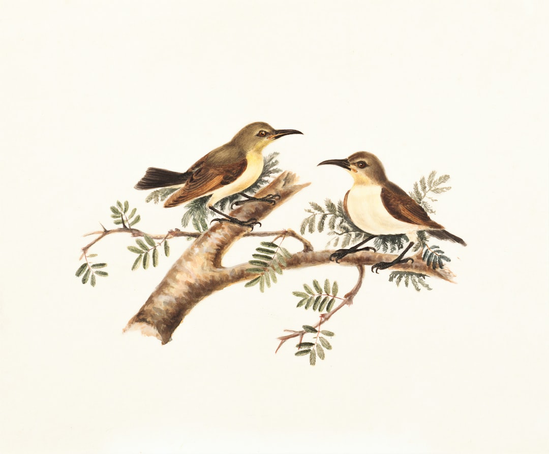 Illustration