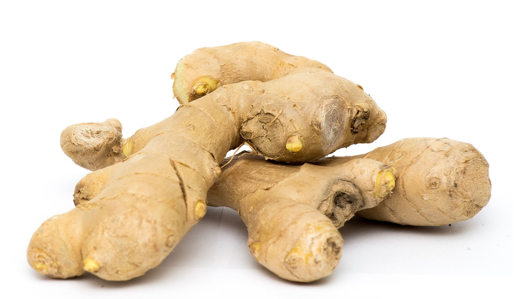 생강의 기원&middot;역사&middot;분류, 영양&middot;활성 성분과 과학적 효능 관련 사진
