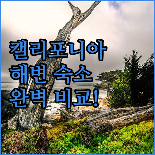 캘리포니아 해변 앞 가성비 숙소부터 ..