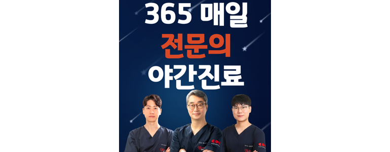 성남 분당구 항문외과