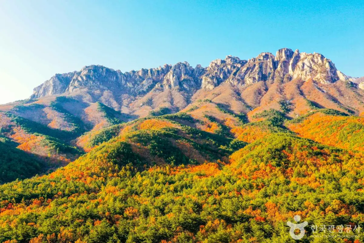 설악산 단풍 울산바위