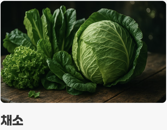 3. 채식과 육식을 겸비한 식단 (먹이)