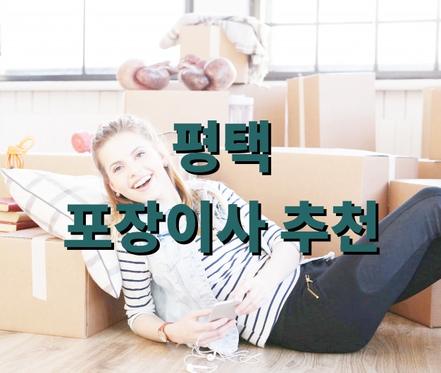 평택 포장이사 추천