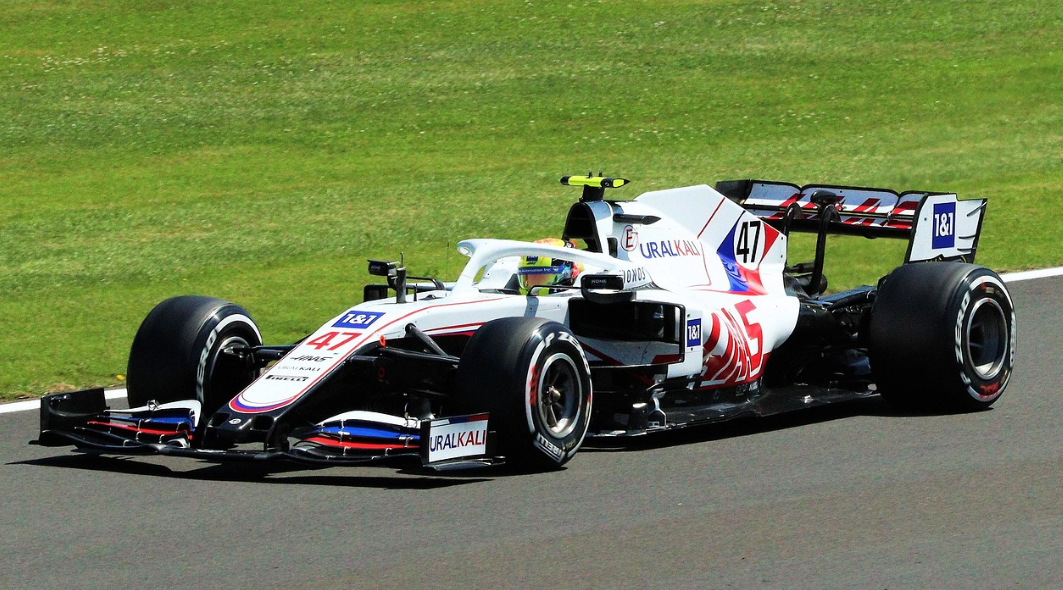 케빈 마그누센 이미지