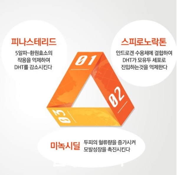 스피로노락톤 탈모 치료