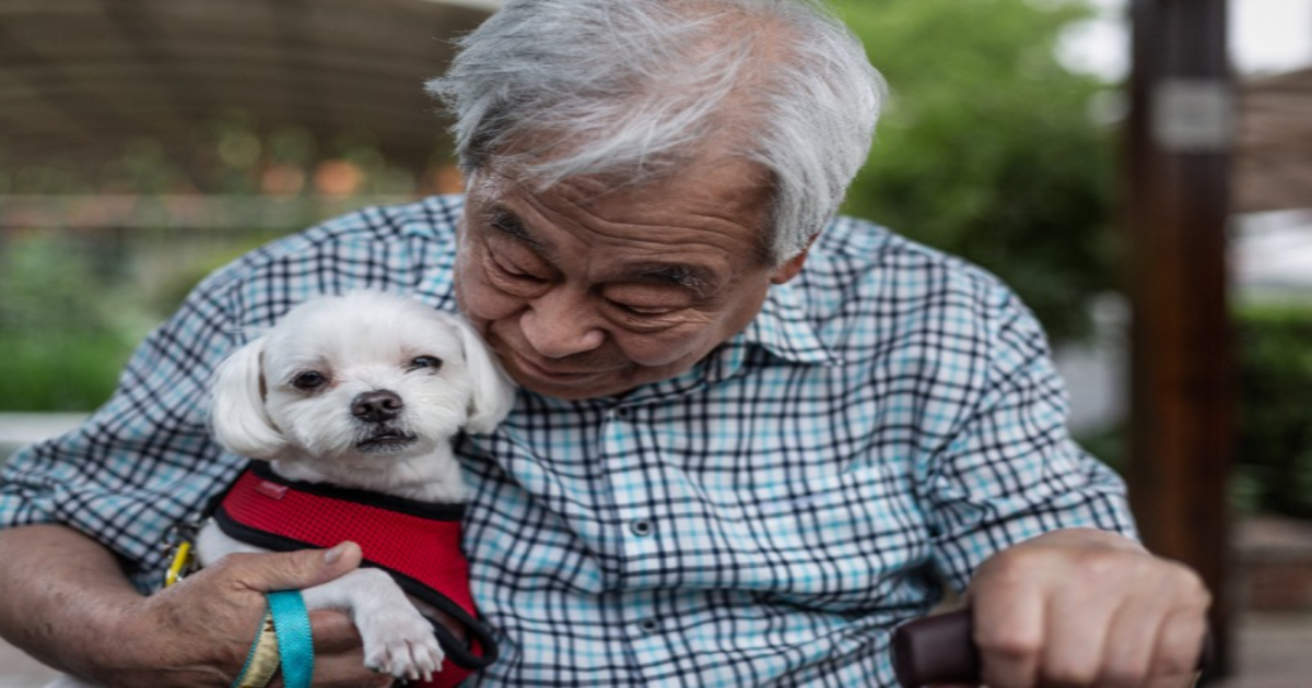 노령연금, 기초연금 중복
