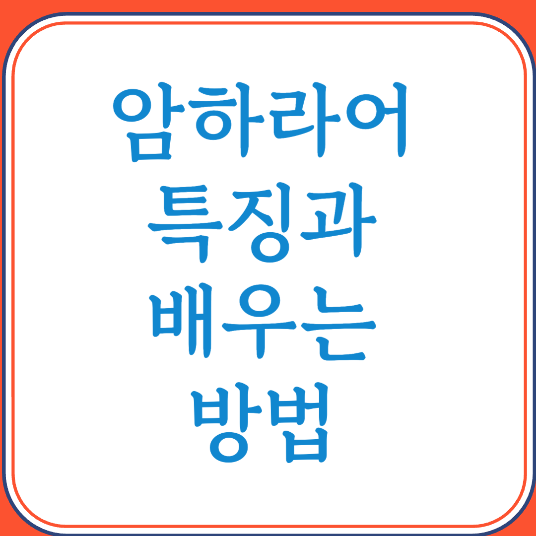 암하라어의 특징과 배우는 방법 (에티오피아의 공용어)