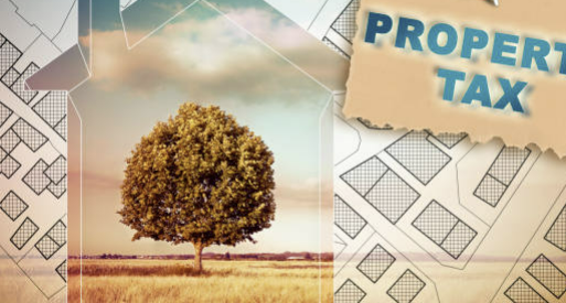 연말정산 인적공제 기준 나이 소득 총정리 2024년