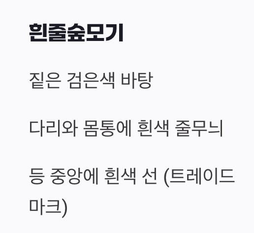 패션부터 다른 꼬마 얼룩말