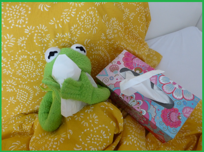 알레르기-원인-해결방법