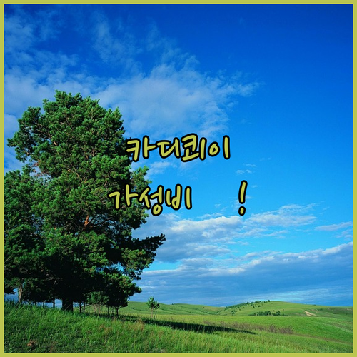 튀르키예 카디쾨이 가성비 호텔 순위 ..