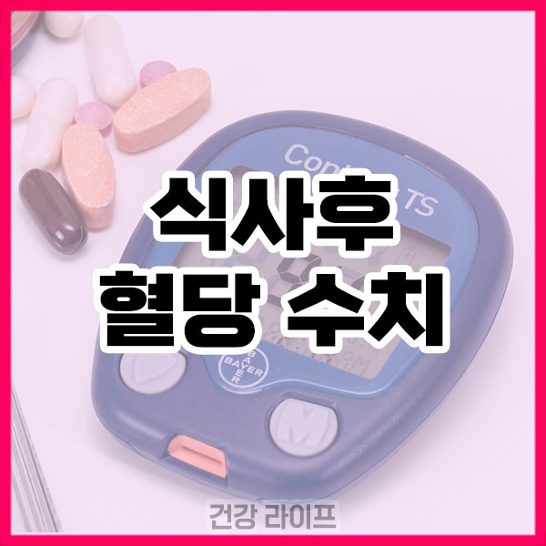식사후 혈당 수치