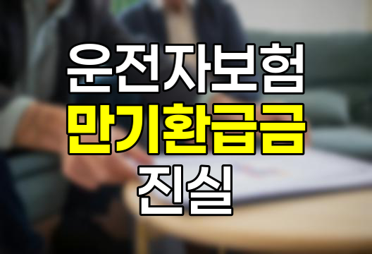 운전자보험 만기환급금의 진실과 허상