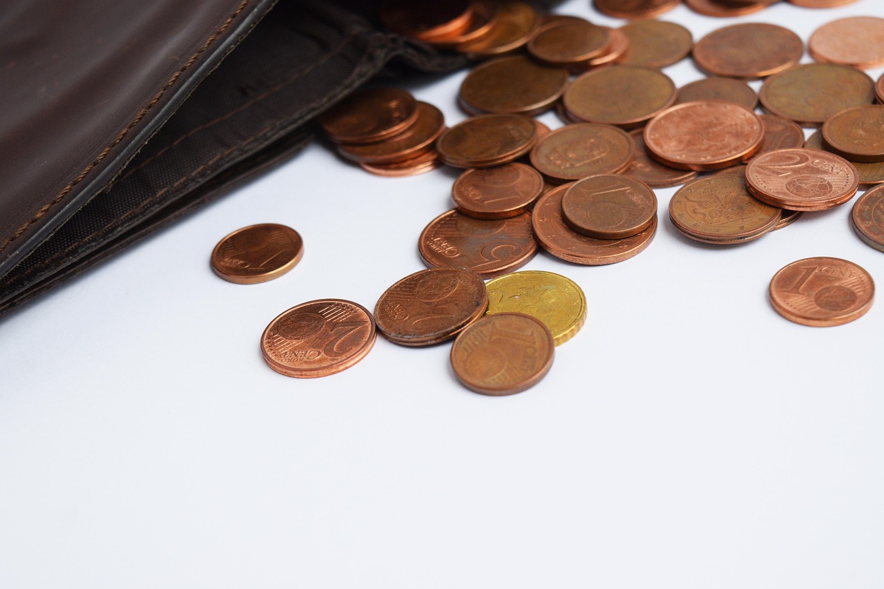 카카오뱅크 비상금대출