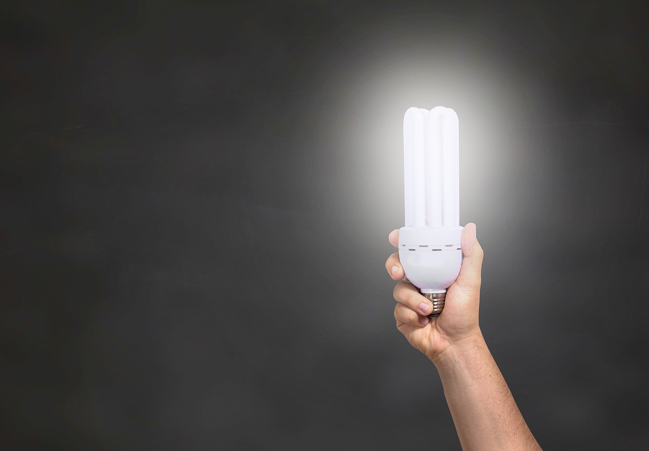 사람이 LED전구를 하나 들고 있는 사진