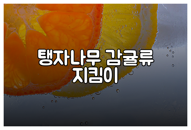 탱자나무 감귤류 지킴이